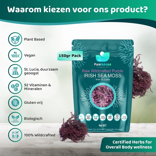 Sea moss superfood Nederland en belgie supplementen purple seamoss biologisch vers duurzaam online zeewier kopen Een pak gedroogde Sea moss van Pure Nutrosa. Zeemos met de woorden "waarom kiezen voor ons product". Een natuurlijke boost voor je gezondheid. #glutenvrij, #vegan, ##vitaminen&mineralen, #plantbased.
