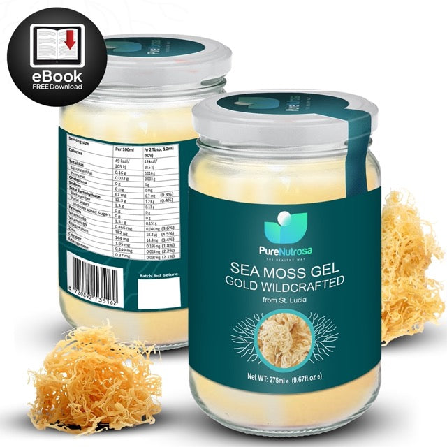 Sea moss superfood Nederland en Belgie, vers duurzaam zeewier biologisch online seamoss kopen Gold Seamoss gel van Pure Nutrosa- Afbeelding van waardevolle seamossgel met gratis ebook, boordevol vitaminen en mineralen, voor diverse toepassingen. #gezondheid #natuurlijk #seamossgel, #GoldSeamoss