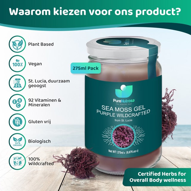 Sea moss superfood Nederland en belgie supplementen purple seamoss biologisch vers duurzaam online zeewier kopen Een pot van Pure Nutrosa Seamossgel zeemosgel met de woorden "waarom kiezen voor ons product". Een natuurlijke boost voor je gezondheid. #glutenvrij, #vegan, #92vitaminen&mineralen#plantbased