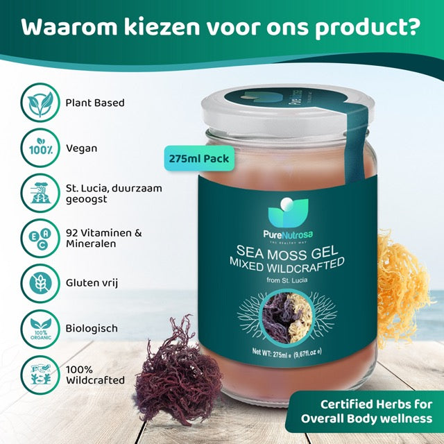 Sea moss superfood nederland belgie paarse seamoss en gele seamoss biologisch vers zeewier online kopen Een pot van Pure Nutrosa Seamossgel zeemosgel met de woorden "waarom kiezen voor ons product". Een natuurlijke boost voor je gezondheid. #glutenvrij, #vegan, #92vitaminen&mineralen#plantbased